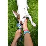 KOCHI - Boldogság karkötője