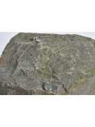 Amulet with Labradorite gem stone