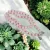 Attract Love Necklace